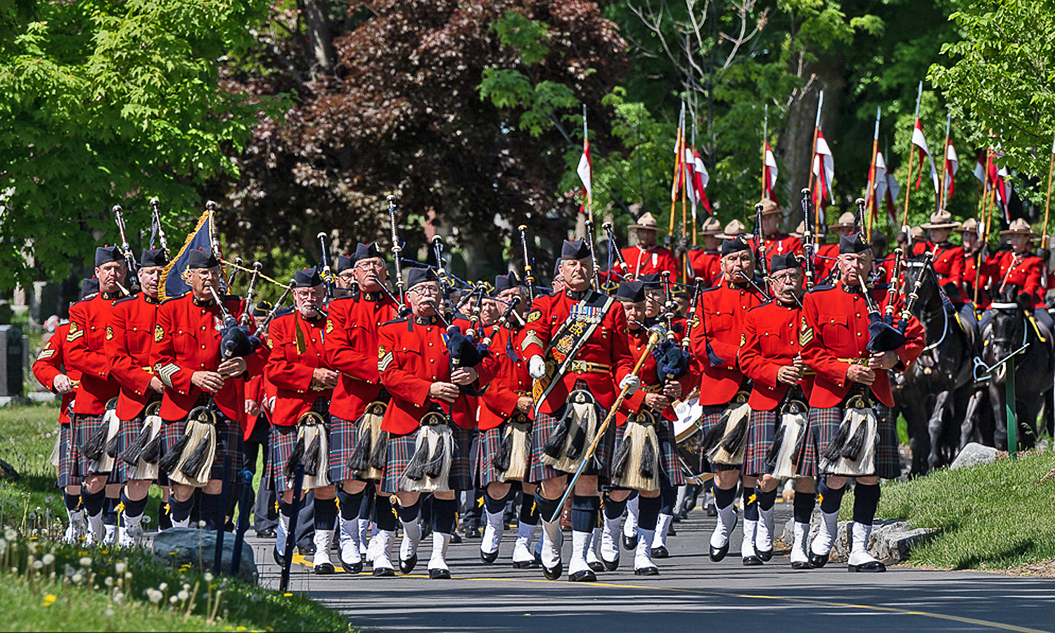 99 RCMP Pipes & Drums Pipers Persuasion